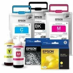 Epson UltraChrome HDR T653700 Original Inkjet Ink Cartridge - Light Black Pack
