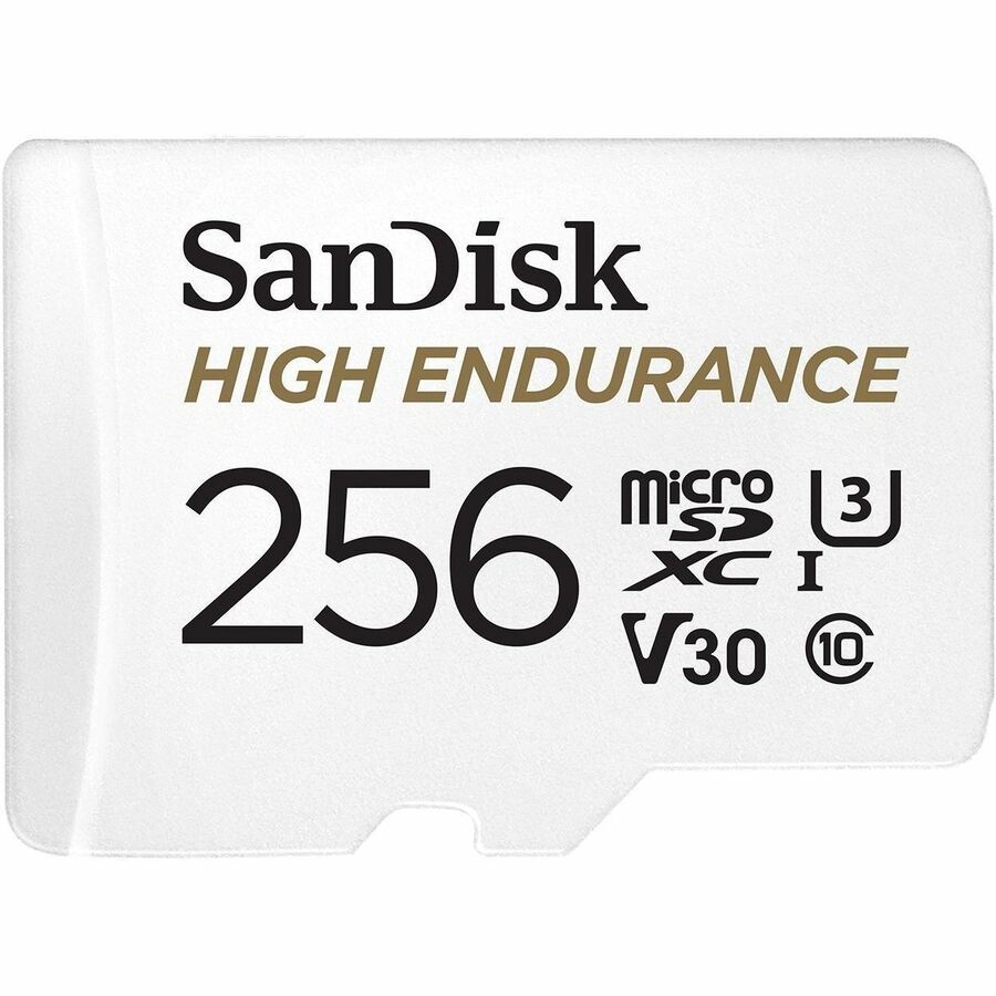 SanDisk High Endurance 256 GB Class 10/UHS-I (U3) microSDXC - 1
