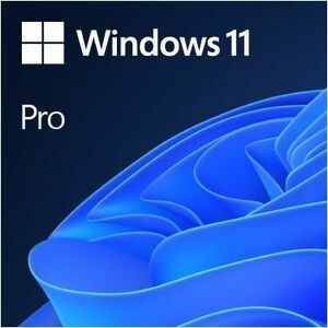 MICROSOFT WIN PRO FPP 11 64-BIT ENGLISH 1 LICENSE USB FLASH DRIVE PRICE DIF