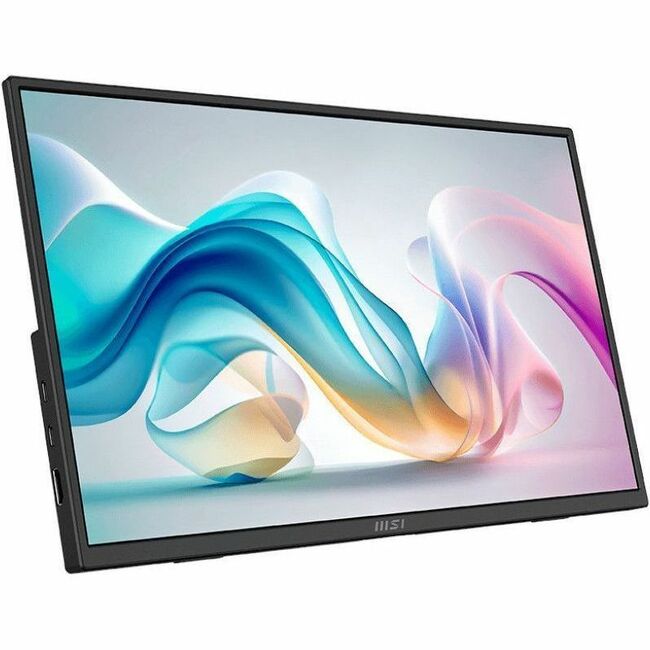 MSI Pro MP165 E6 - ProMP165E6 - Portable Productivity Monitor - 15.6" FHD IPS Display - USB-C